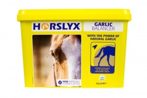 Horslyx Garlic Refill